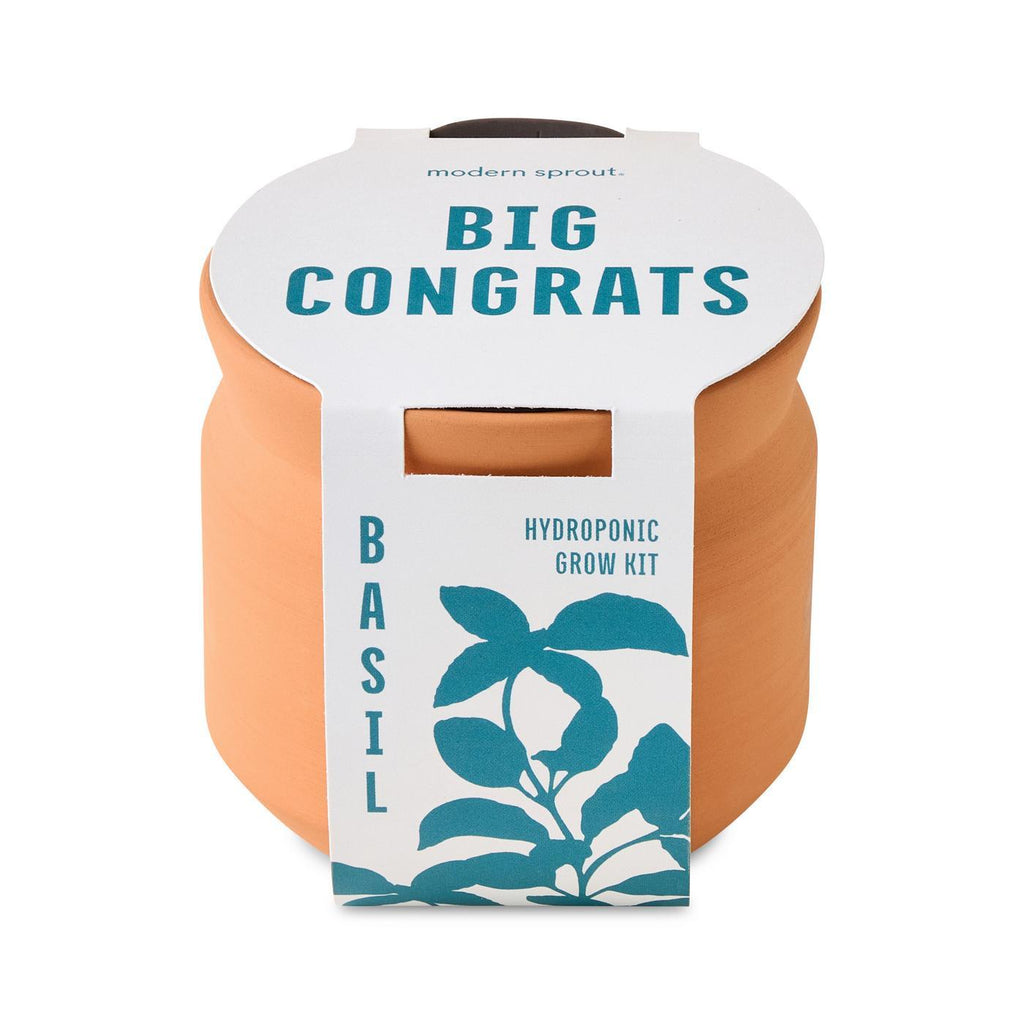 Modern Sprout Tiny Terracotta Grow Kit, Big Congrats Laser Engraving - Terracotta - View 4