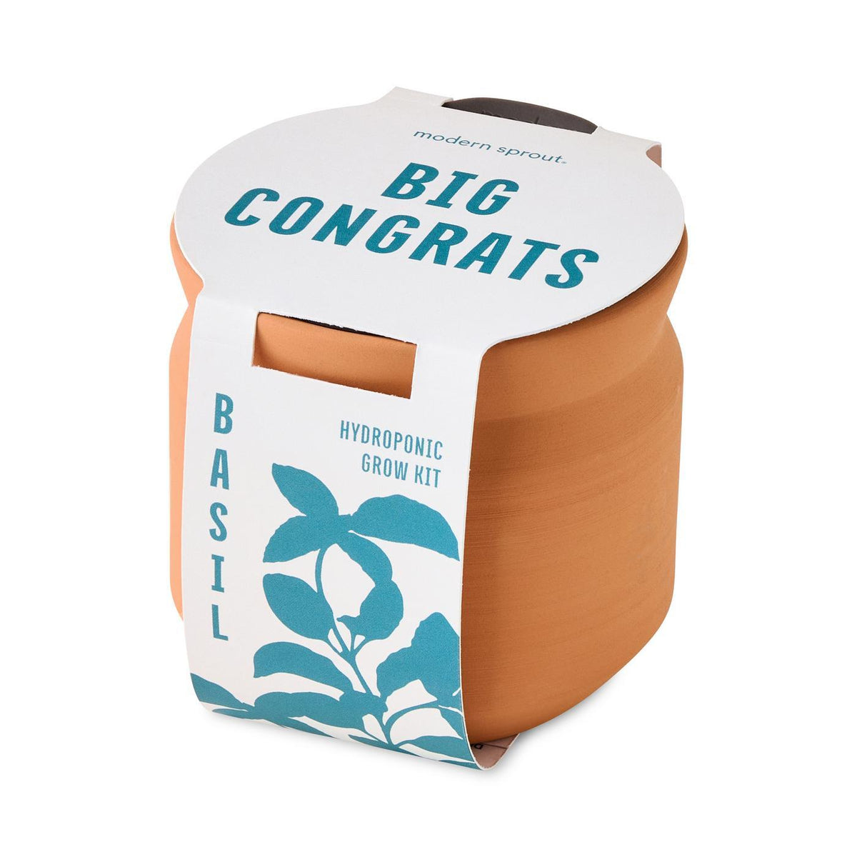Modern Sprout Tiny Terracotta Grow Kit, Big Congrats Laser Engraving - Terracotta - View 5
