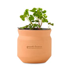 Modern Sprout Tiny Terracotta Grow Kit, Lucky to Have You Laser Engraving - Terracotta - View 1