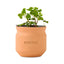 Modern Sprout Tiny Terracotta Grow Kit, Lucky to Have You Laser Engraving - Terracotta - View 1