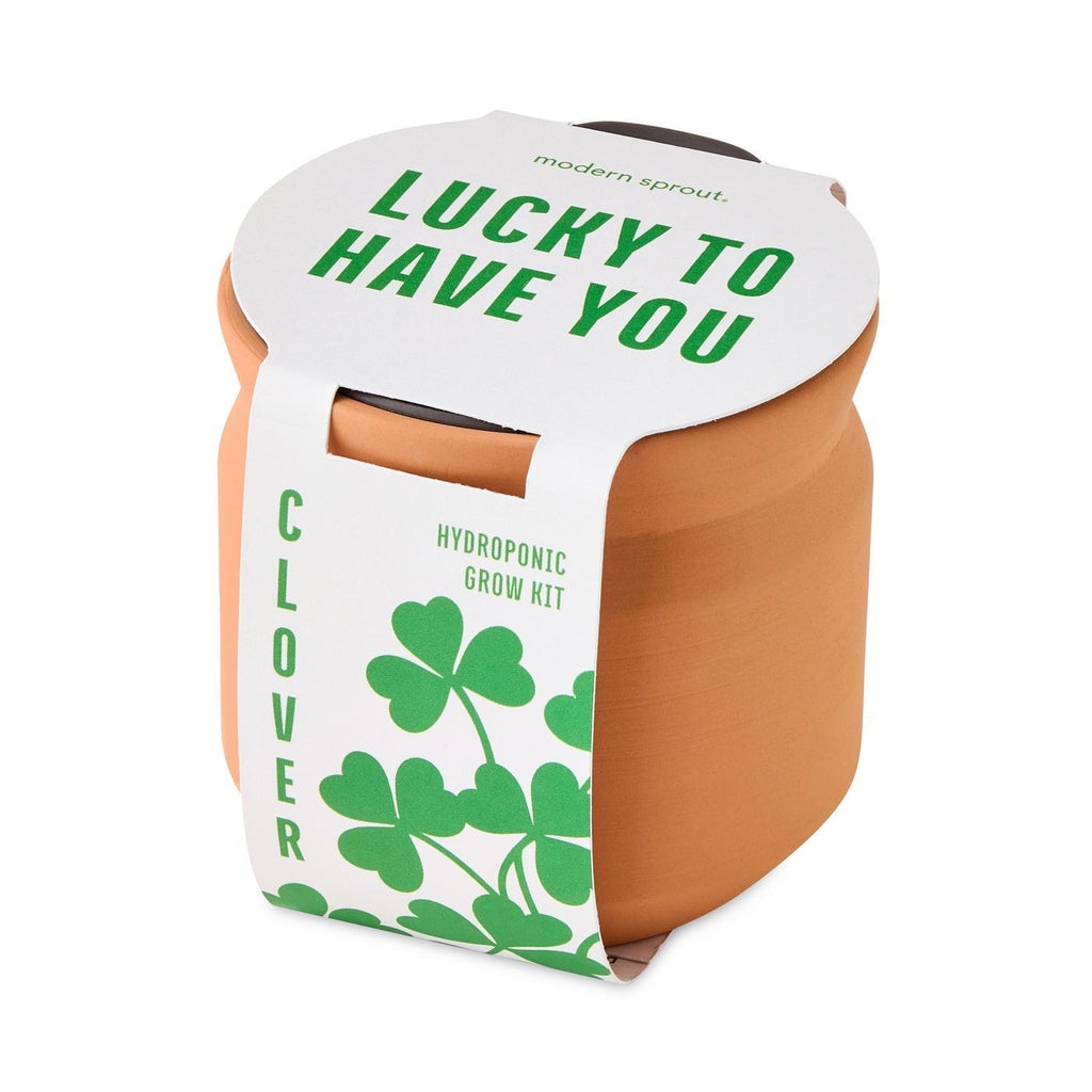 Modern Sprout Tiny Terracotta Grow Kit, Lucky to Have You Laser Engraving - Terracotta - View 4