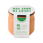 Modern Sprout Tiny Terracotta Grow Kit, Lucky to Have You Laser Engraving - Terracotta - View 5