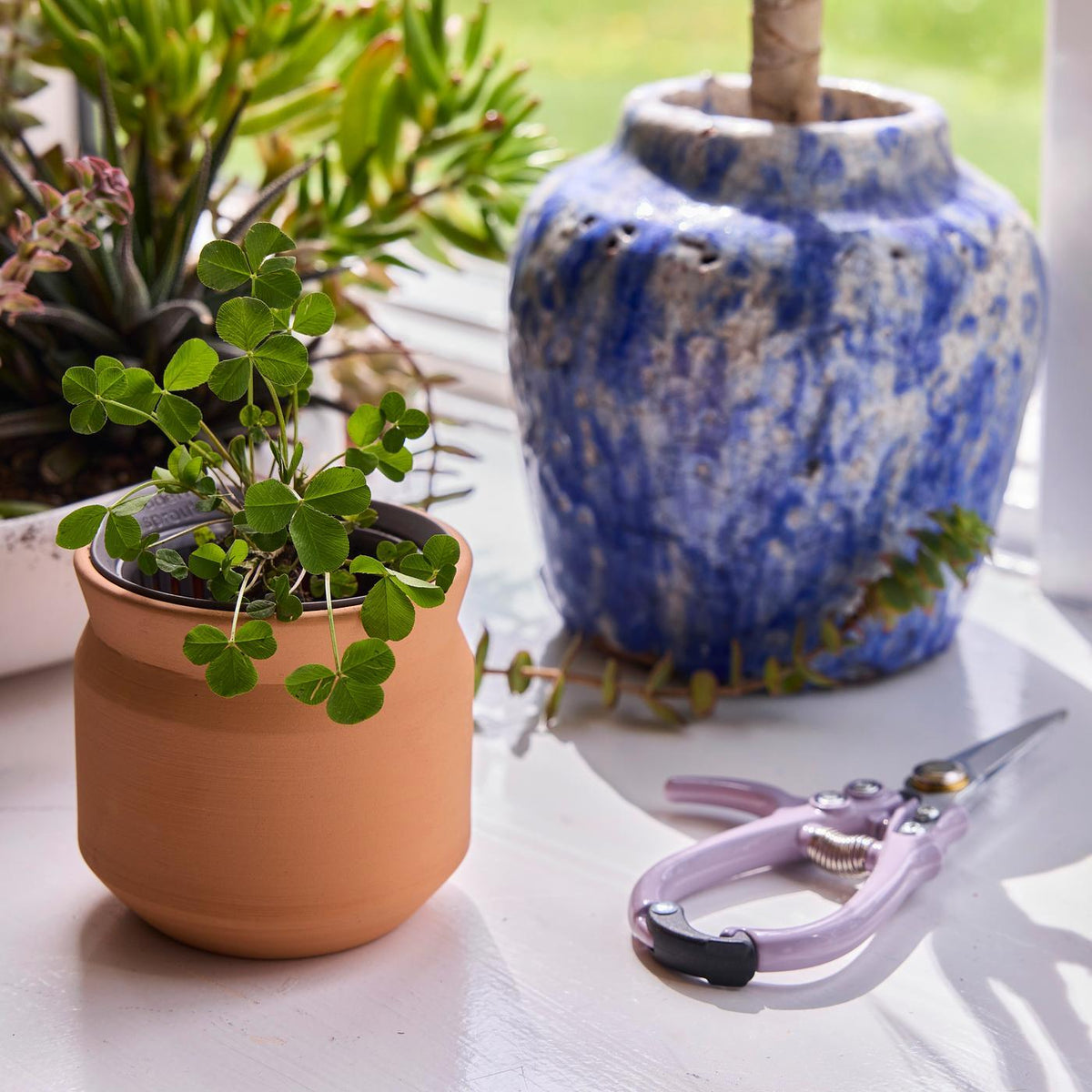 Modern Sprout Tiny Terracotta Grow Kit, Lucky to Have You Laser Engraving - Terracotta - View 6