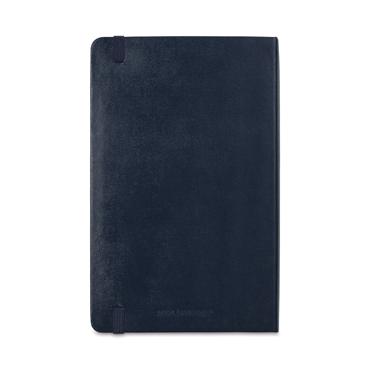 Moleskine Hard Cover Double Layout Notebook, Large Full Color - Sapphire Blue - View 6