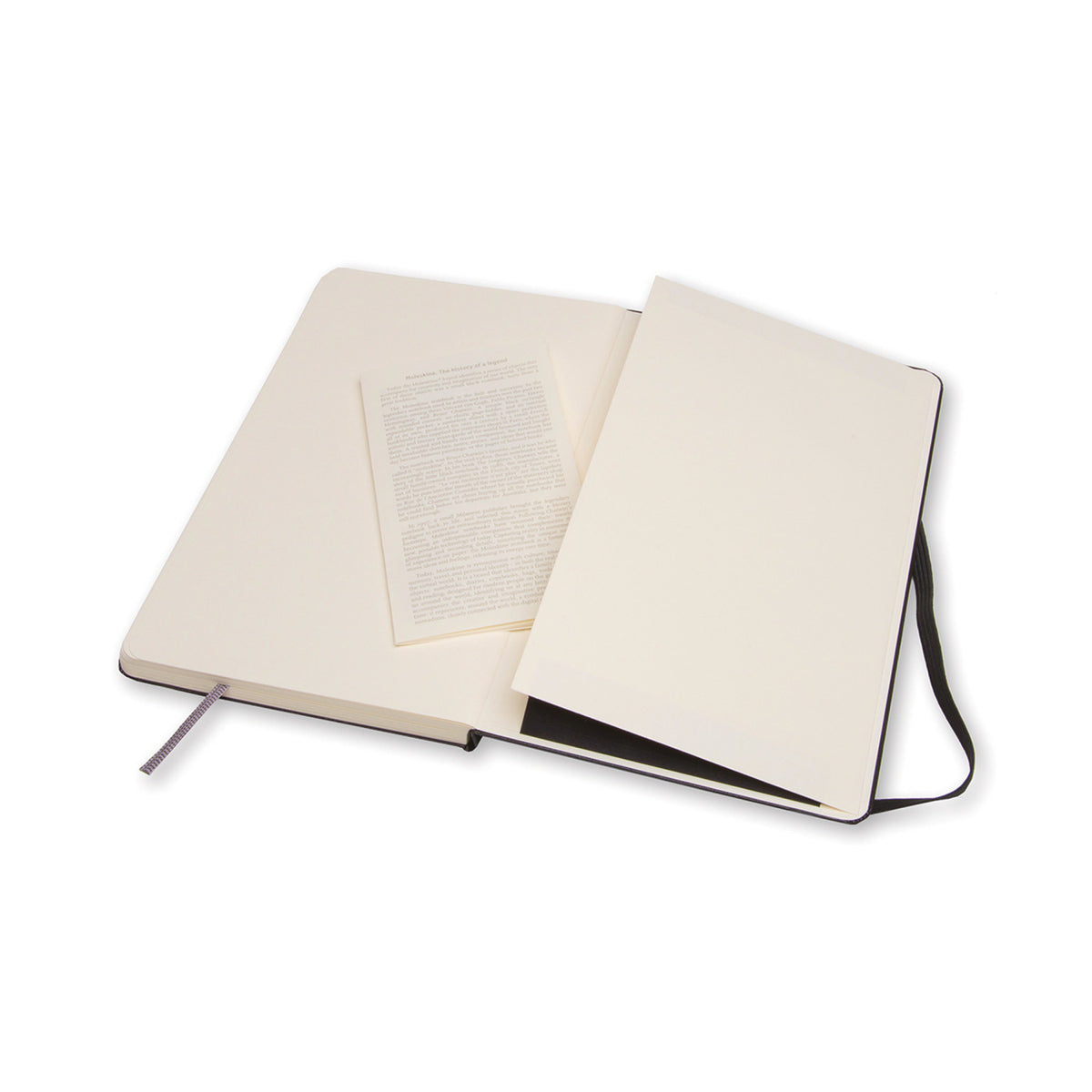 Moleskine Hard Cover Sketchbook, Large - Black - View 5