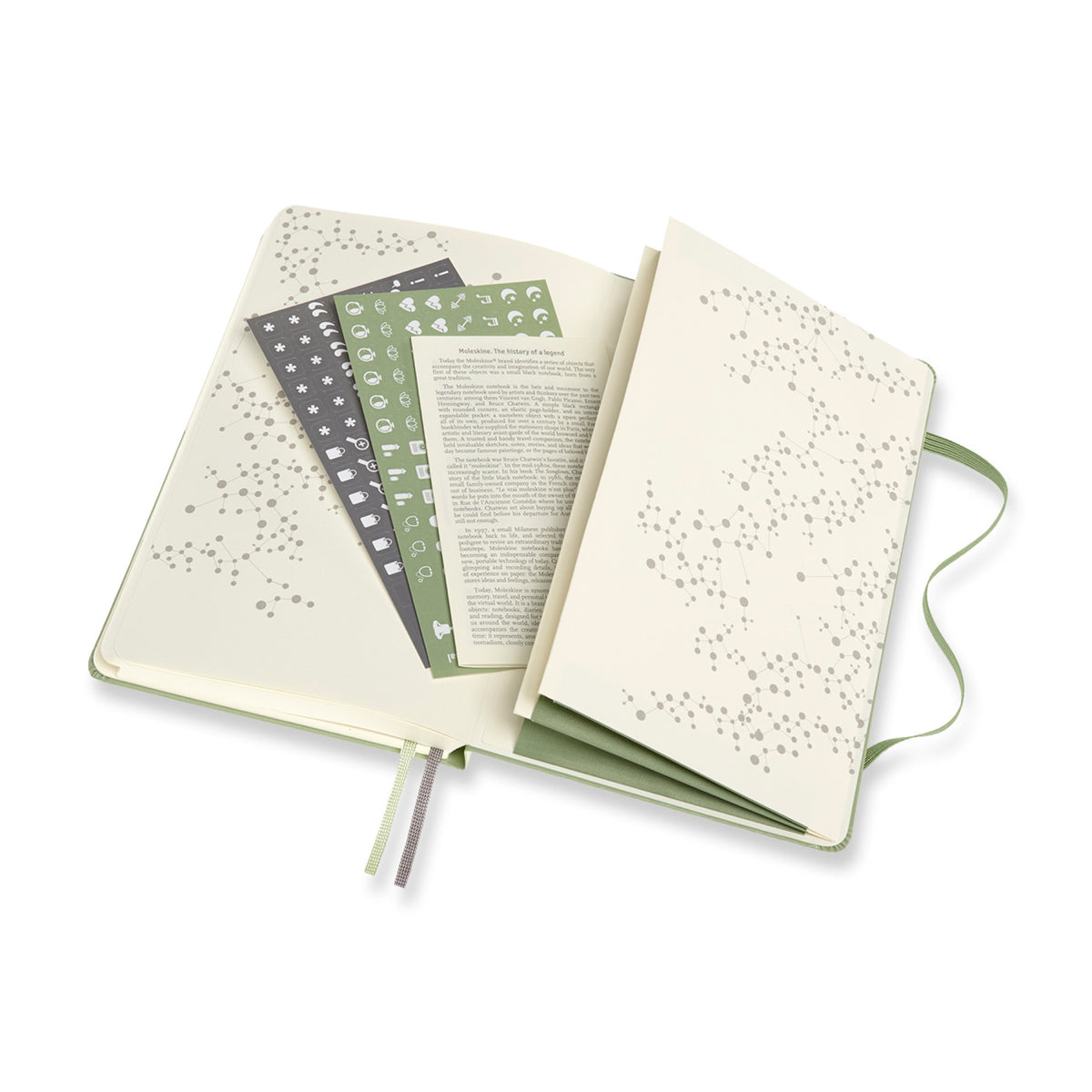 Moleskine Passion Journal, Wellness Debossing - Willow Green - View 8