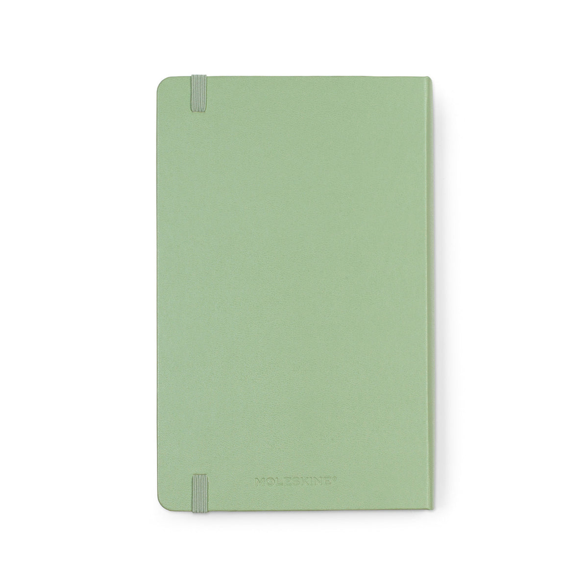 Moleskine Passion Journal, Wellness - Willow Green - View 4