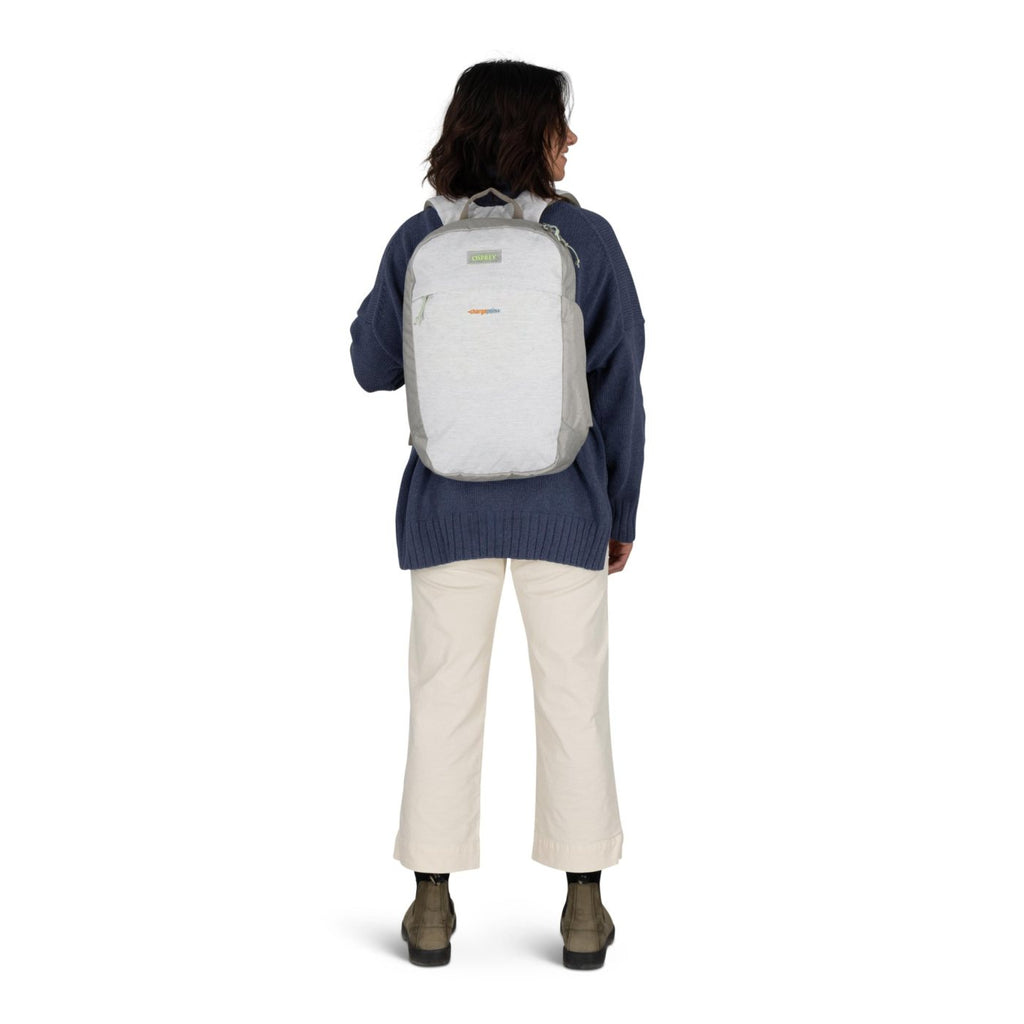 Osprey Arcane Earth Large Day Pack, 16 Inch Laptop Transfer - Pediment Grey - View 9