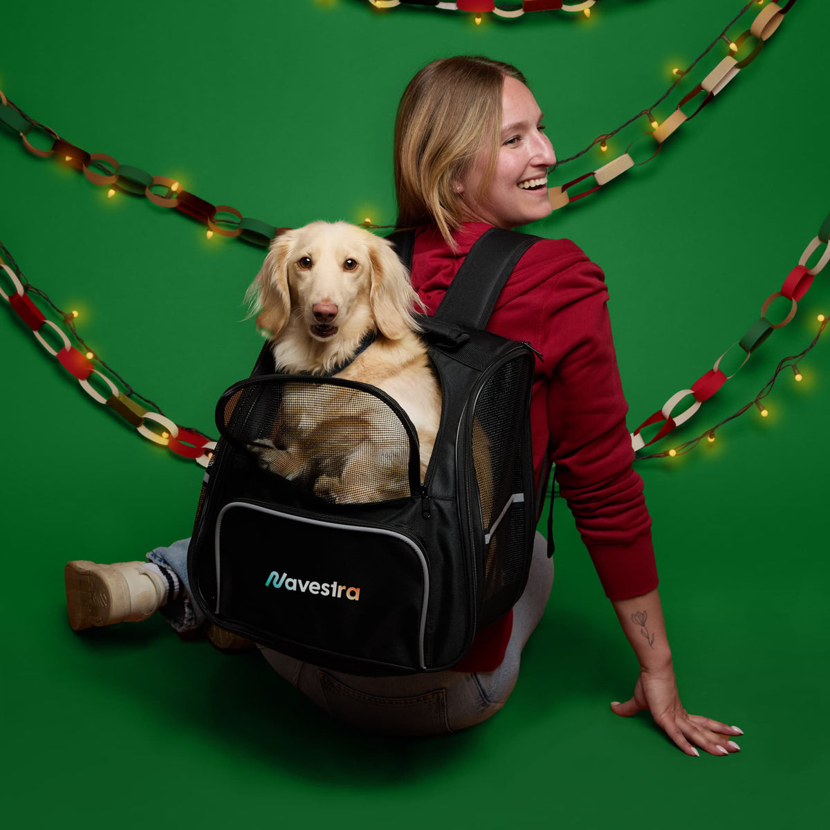PawFlex Collapsible Backpack Pet Carrier Transfer - Black - Lifestyle