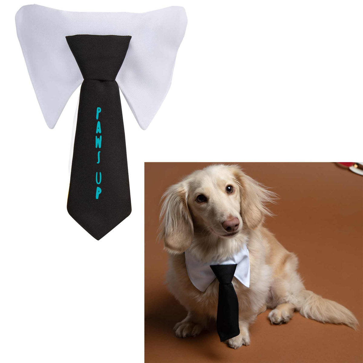 Paws & Claws Dress-Up Neck Tie for Pet Collars Transfer - White/Black - Front