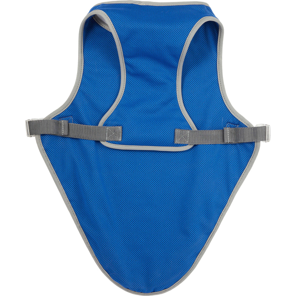Paws & Claws Reflective Dog Safety Vest, Large Transfer - Blue - Back