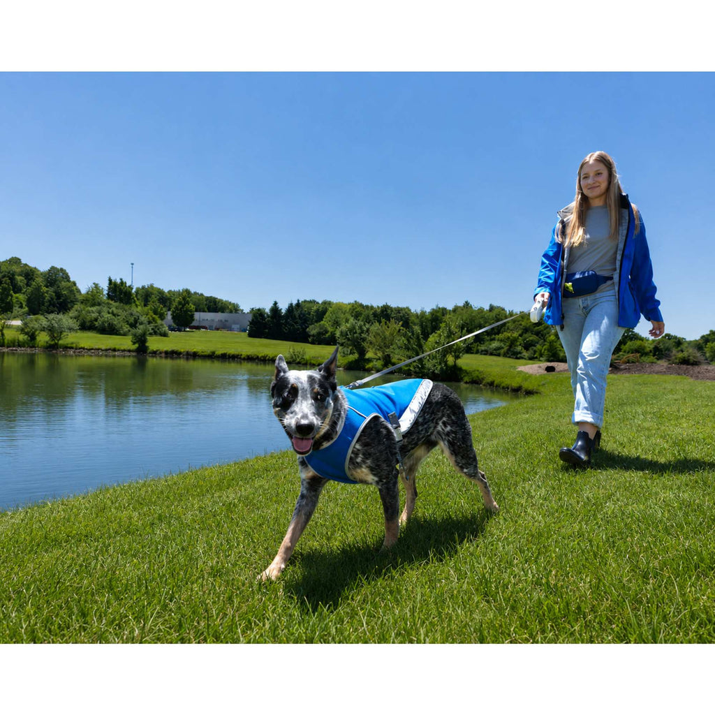 Paws & Claws Reflective Dog Safety Vest, Large Transfer - Blue - Lifestyle