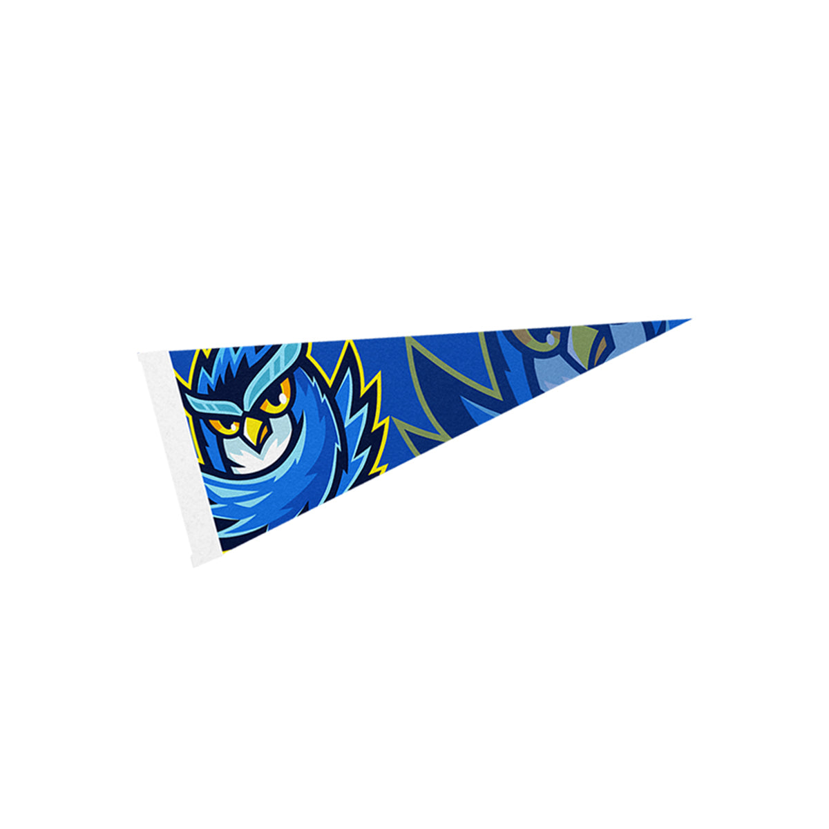 Pennant, 4 x 10 Inches - White - Full Color