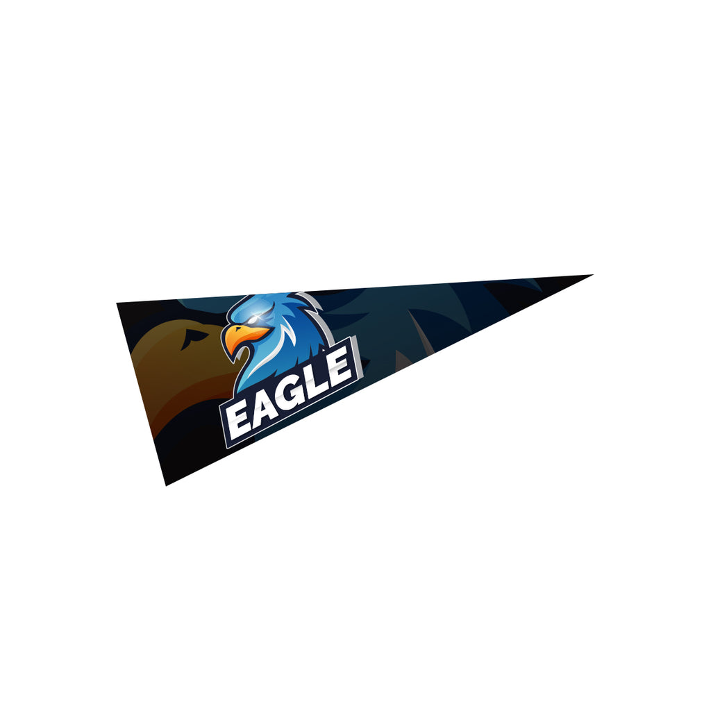 Pennant, 5 x 12 Inches