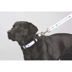 Pet Leash in Polyester Webbing, 1 x 60 Inches Sublimation - Sublimation - Photo