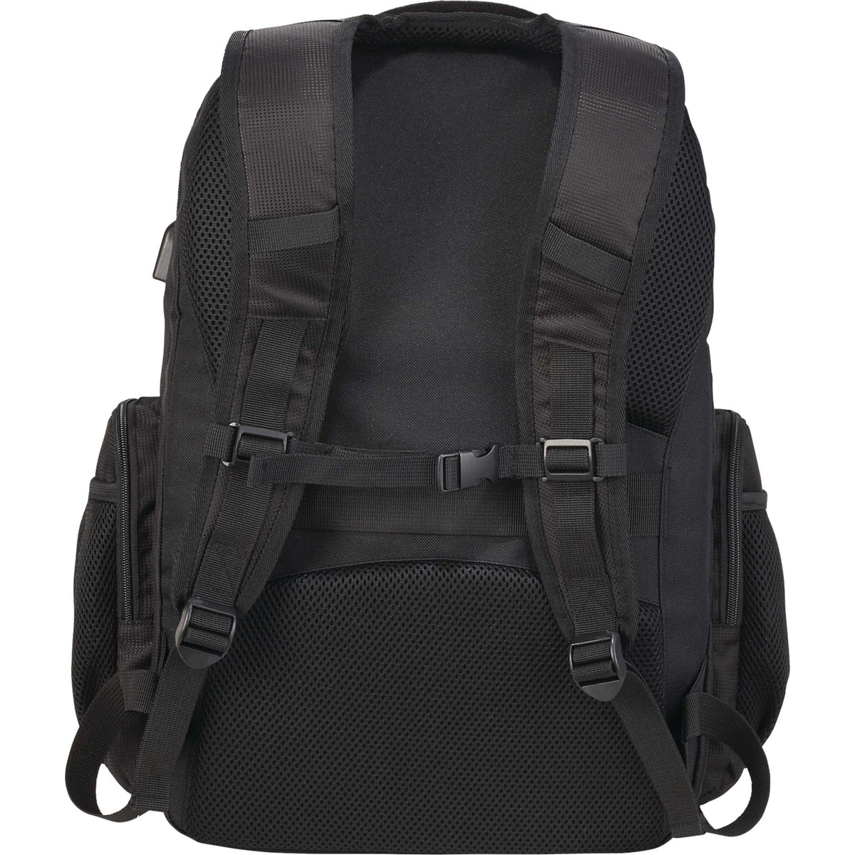 Rainier TSA Laptop Backpack with USB Port, 17 Inch Transfer - Black - Back