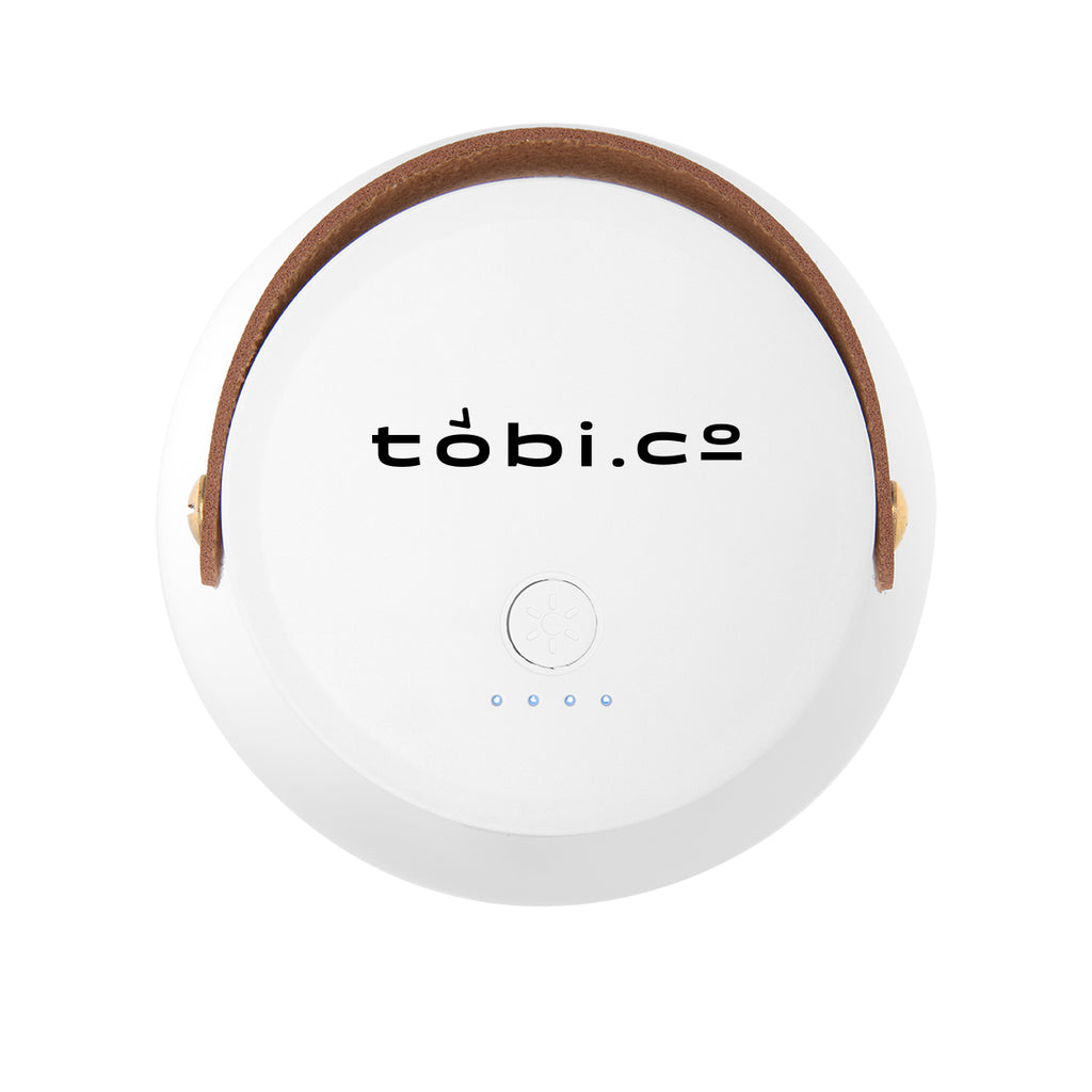 Rechargeable Lamp with Removable Lantern Top - Pad Print