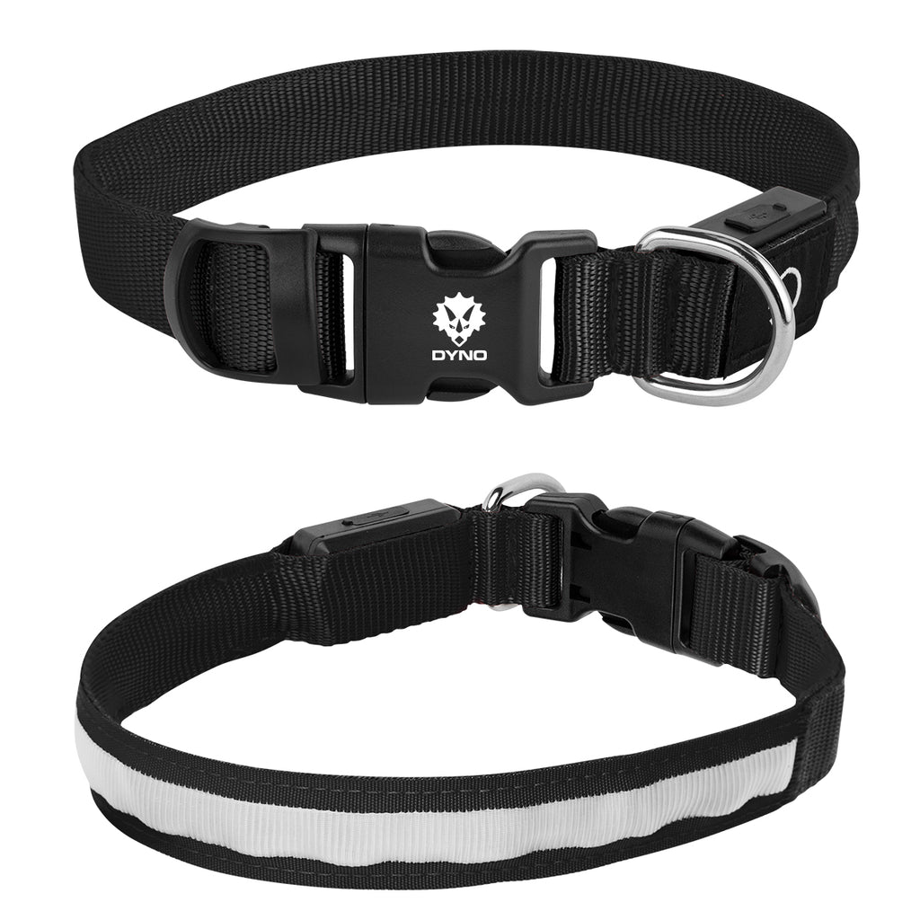 Rechargeable Pet Collar That Lights Up, Medium - Black - Pad Print