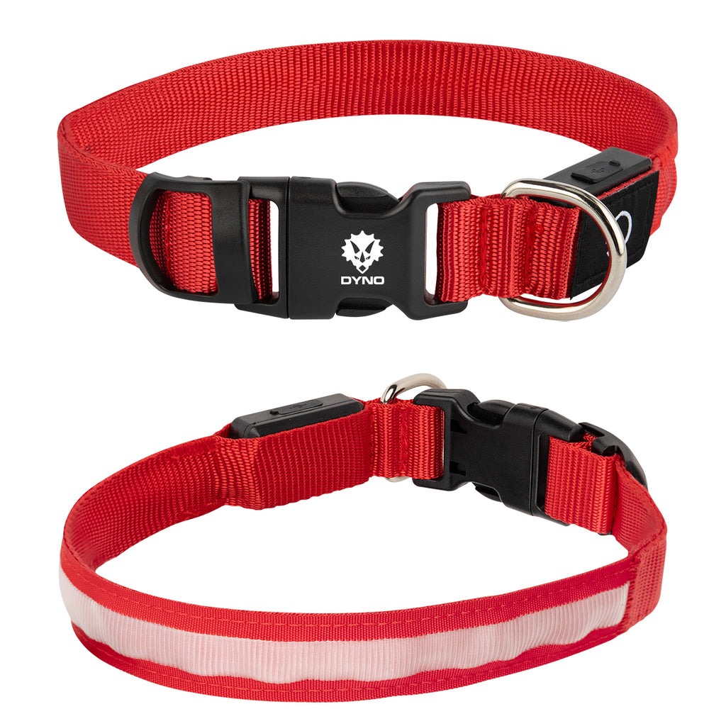 Rechargeable Pet Collar That Lights Up, Medium - Red - Pad Print