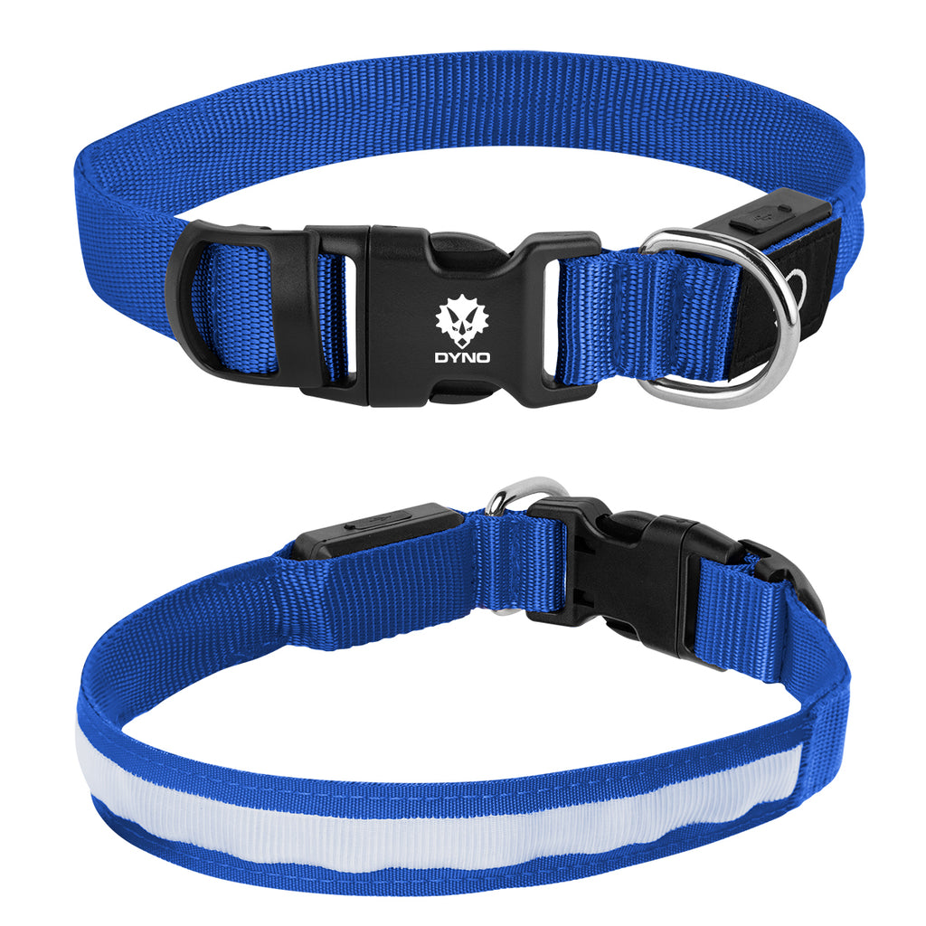 Rechargeable Pet Collar That Lights Up, Medium - Royal Blue - Pad Print