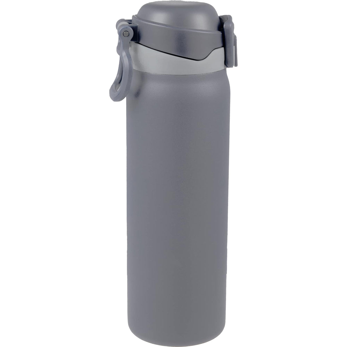 Rhine Sip or Swig Insulated Bottle, 30 oz Full Color - Stone - Handle Down Side