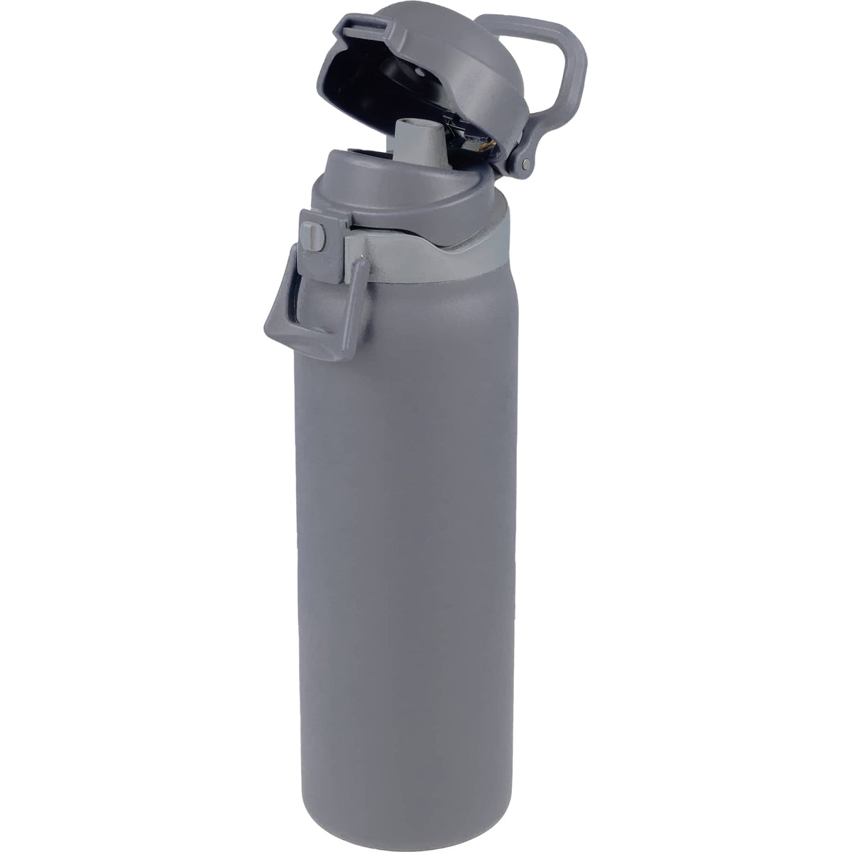 Rhine Sip or Swig Insulated Bottle, 30 oz Full Color - Stone - Left Angle Open