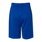 Russell Athletic Men's Dri-Power® Essential 10" Shorts with Pockets - Royal - Back