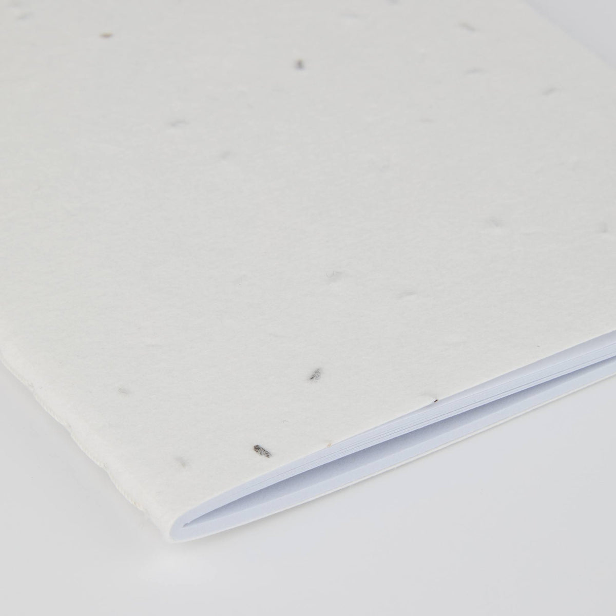 Seed Paper Notebook, 4 x 6 Inches - Beige - Detail