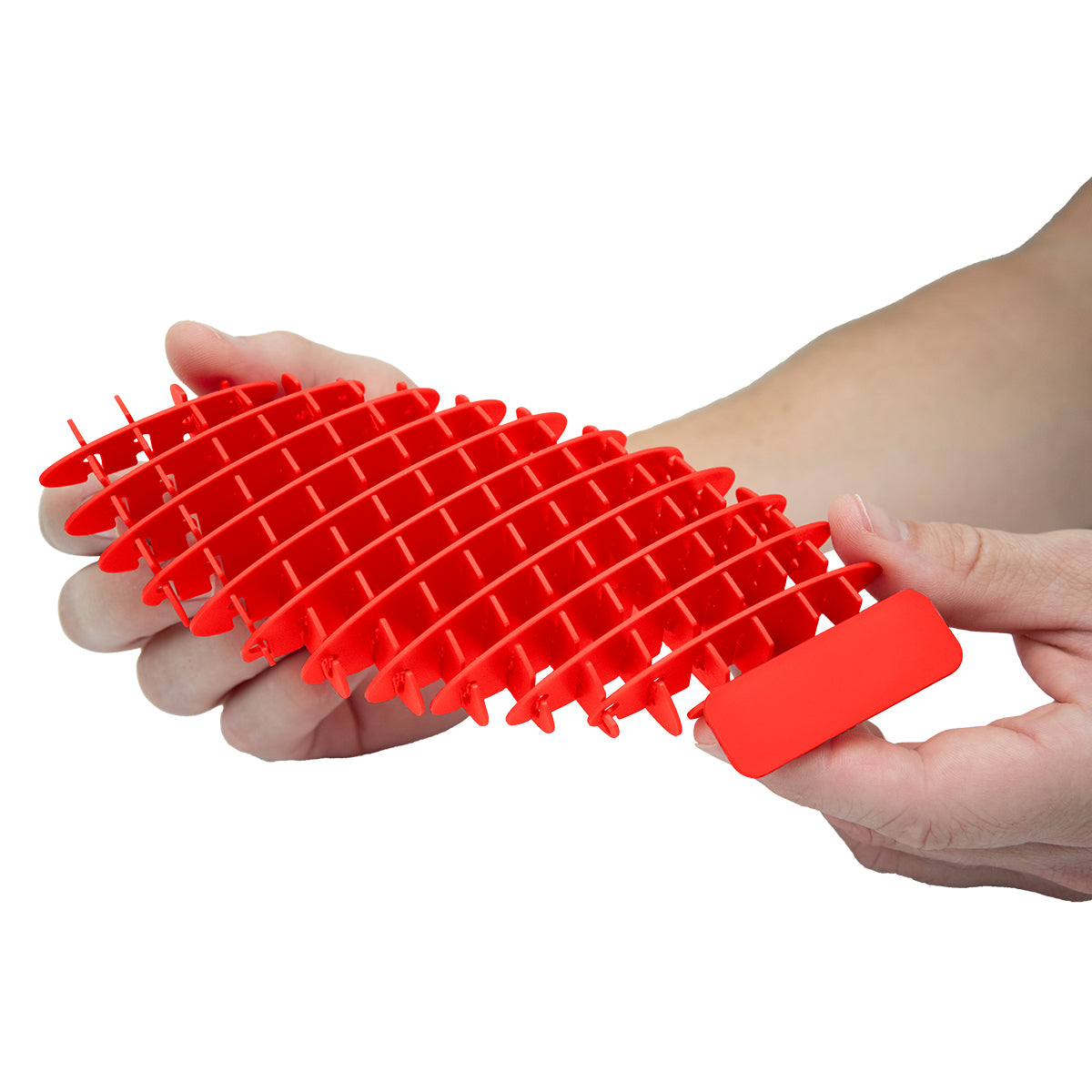 Sensory Worm That Fidgets - Red - Inuse