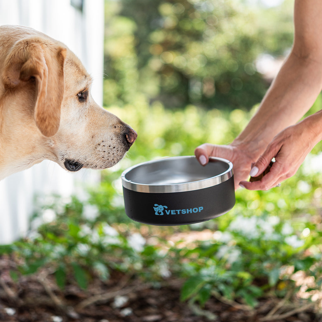 Stainless Steel Pet Bowl, 40 oz - Black - Lifestyle_Silkscreen