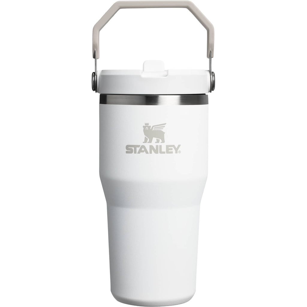 Stanley IceFlow Flip Straw Tumbler, 20 oz - Frost - Back