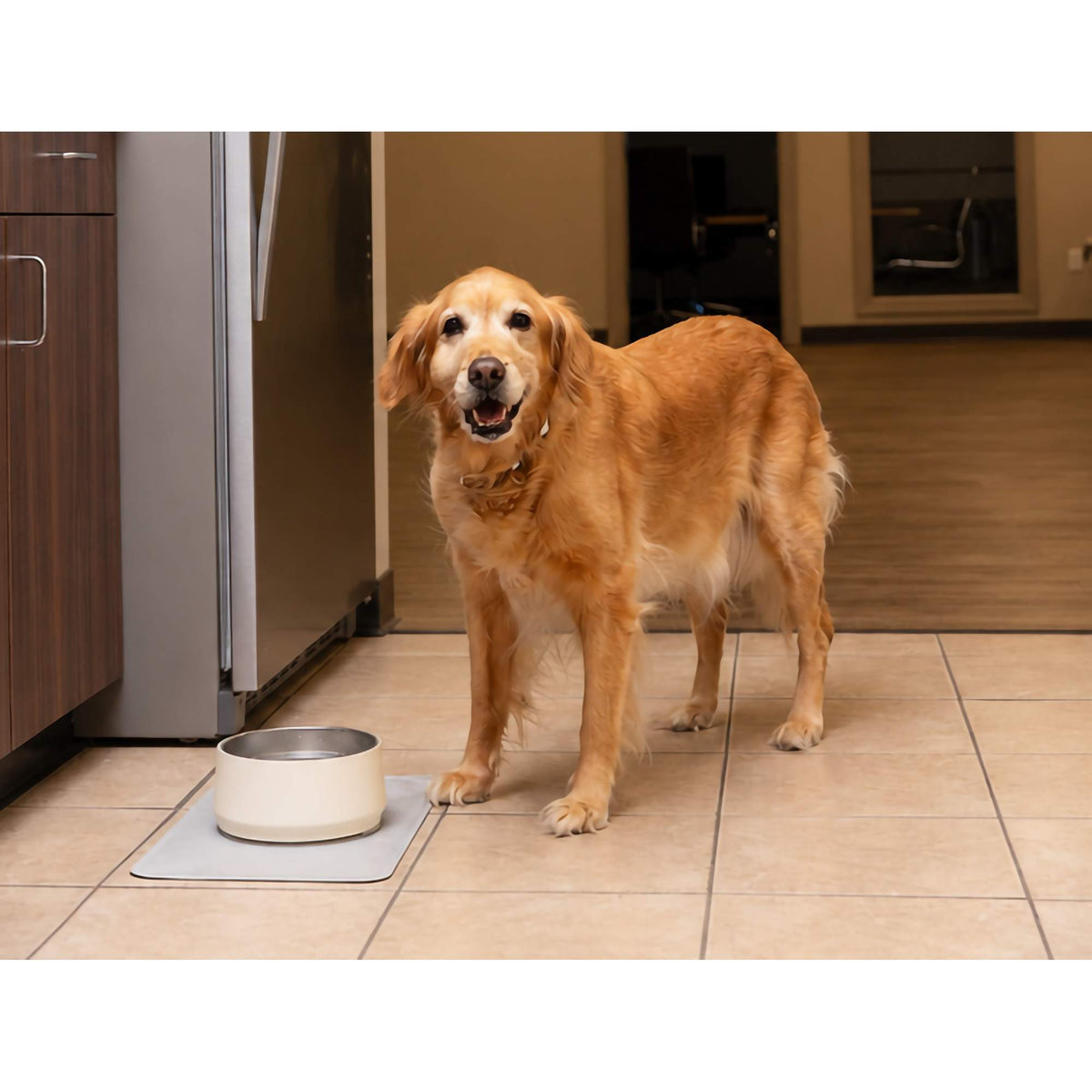 Stanley Insulated Pet Bowl with Lid, 48 oz - Cream - Lifestyle