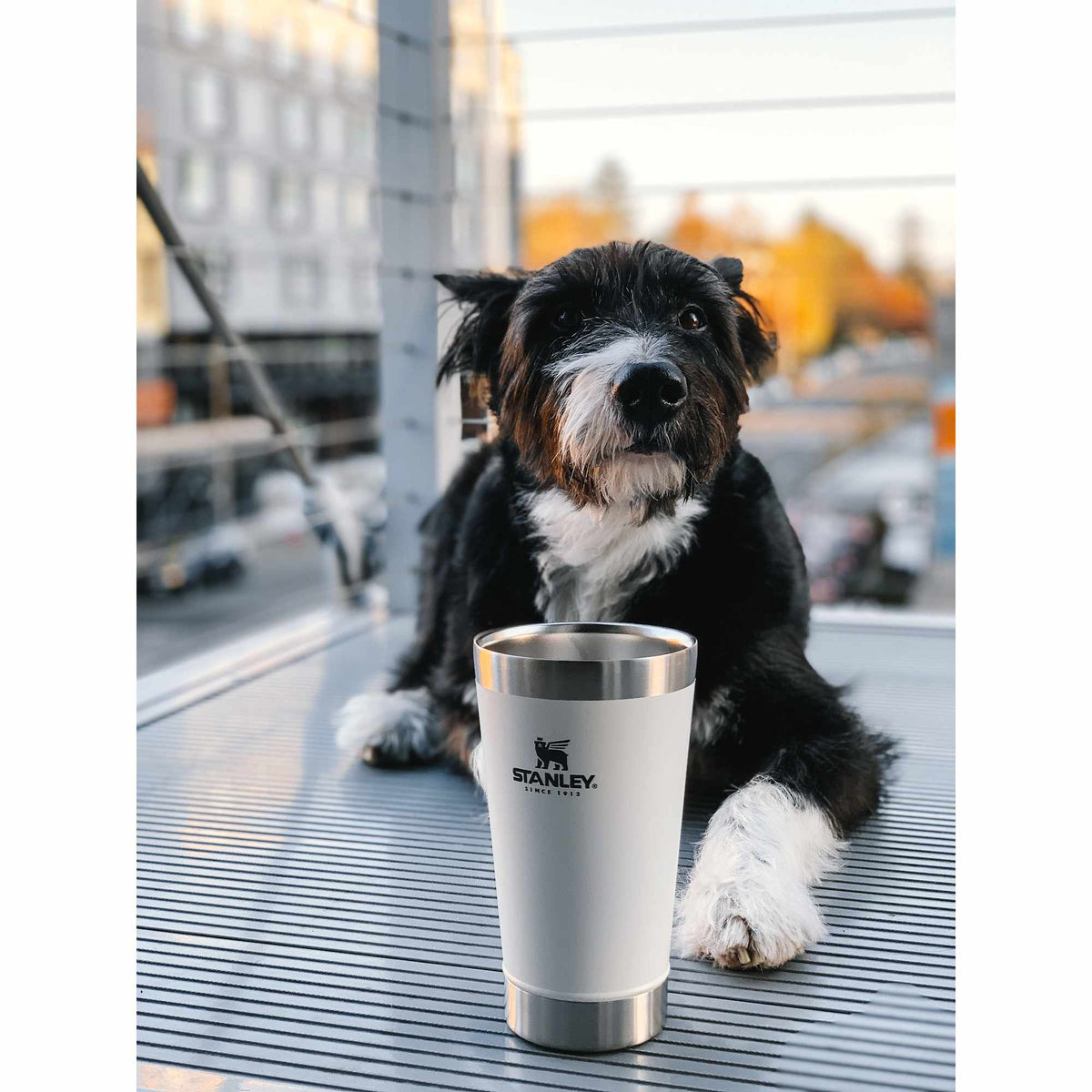Stanley Stay-Chill Stacking Pint, 16 oz - Polar - Back Lifestyle