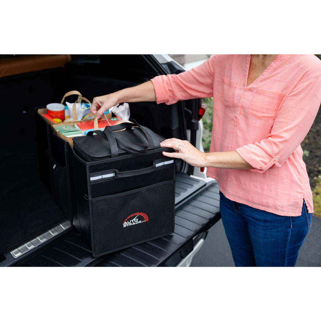 Structure Collapsible Cargo Organizer with Removable Cooler - Black - View 10