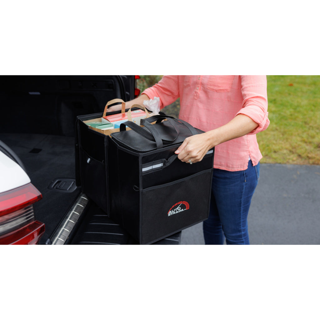 Structure Collapsible Cargo Organizer with Removable Cooler Transfer - Black - View 8