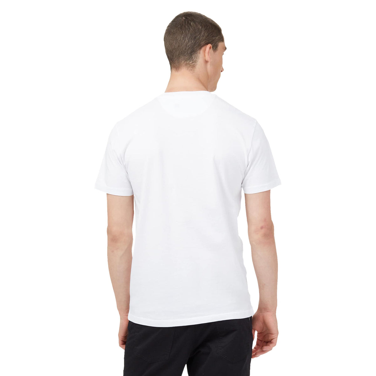 tentree Short Sleeve Tee in Fairtrade Organic Cotton for Men Embroidery - ten White - On Model Back