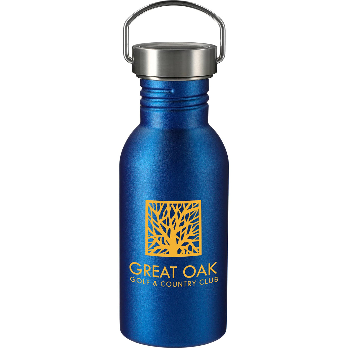 Thor Single Wall Stainless Bottle with Metal Loop, 20 oz - Blue - Front