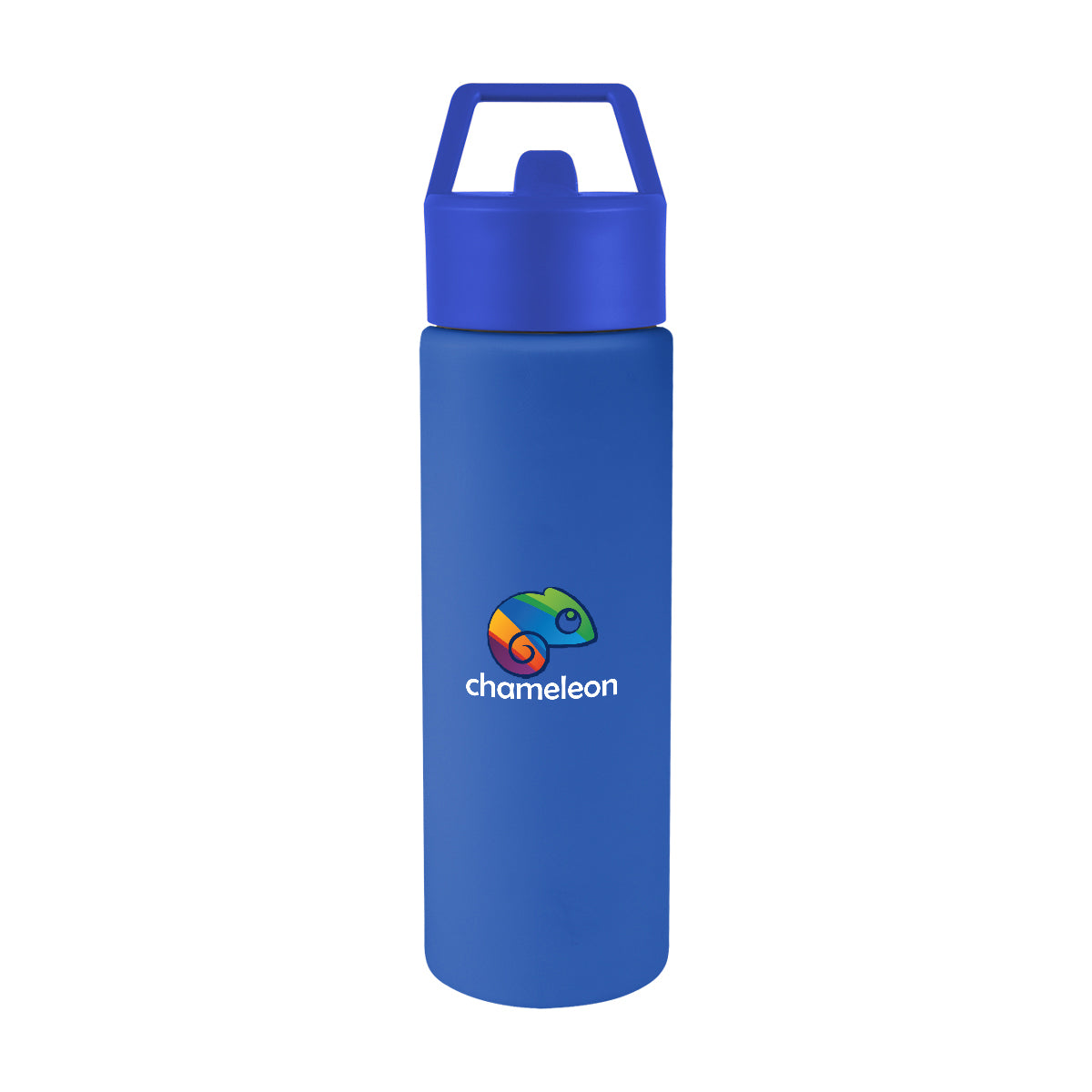 Torrey Recycled Stainless Steel Bottle, 24 oz - Blue - Colorbrite