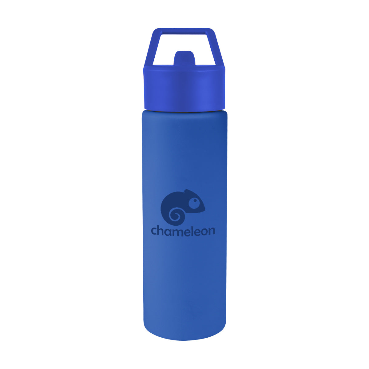 Torrey Recycled Stainless Steel Bottle, 24 oz - Blue - Silk Screen