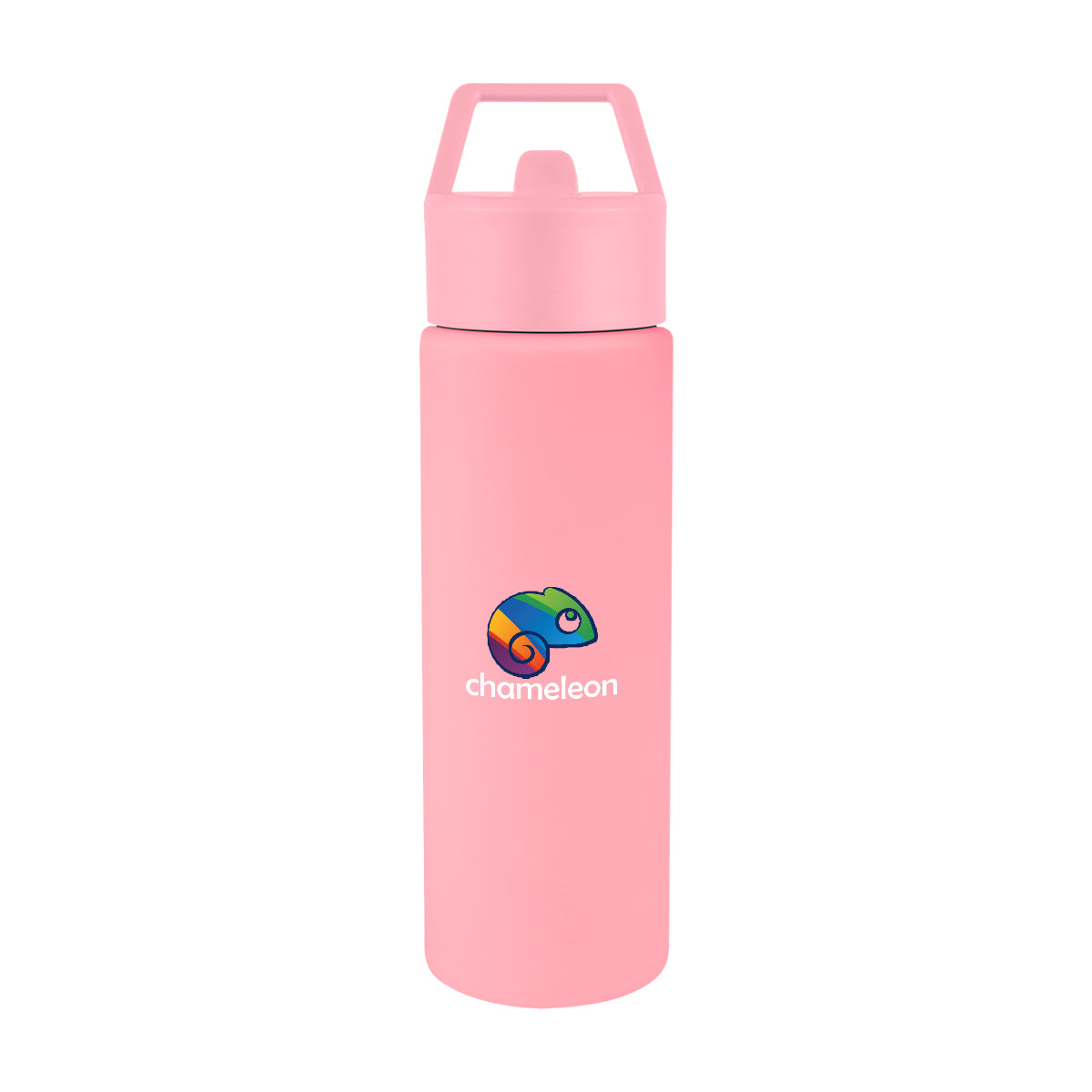 Torrey Recycled Stainless Steel Bottle, 24 oz - Pink - Colorbrite