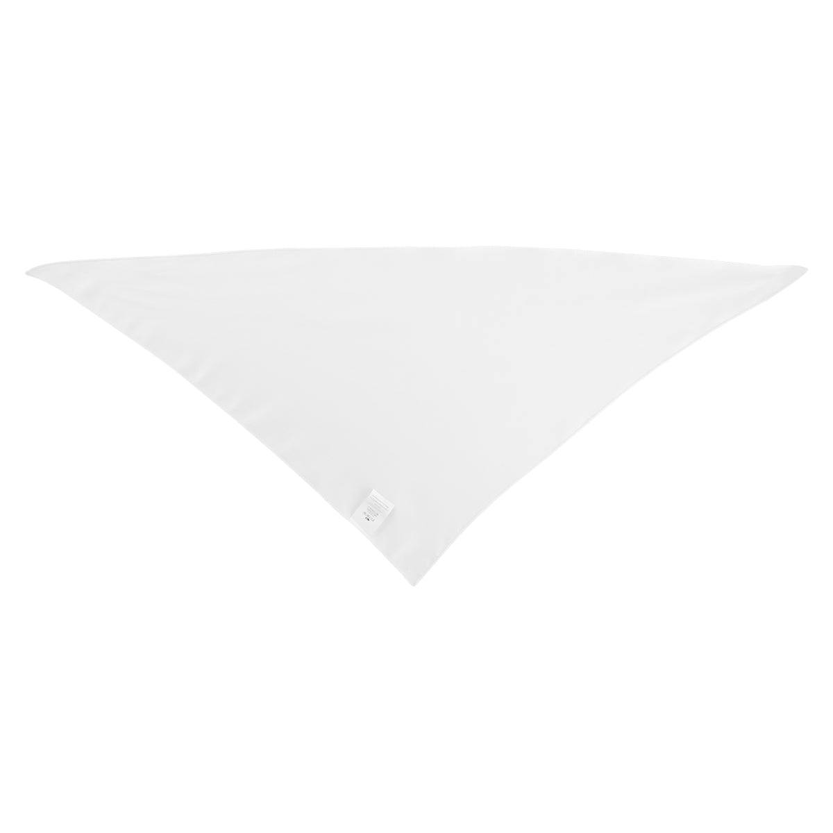 Triangle Pet Bandana in Full Color, Large - Back