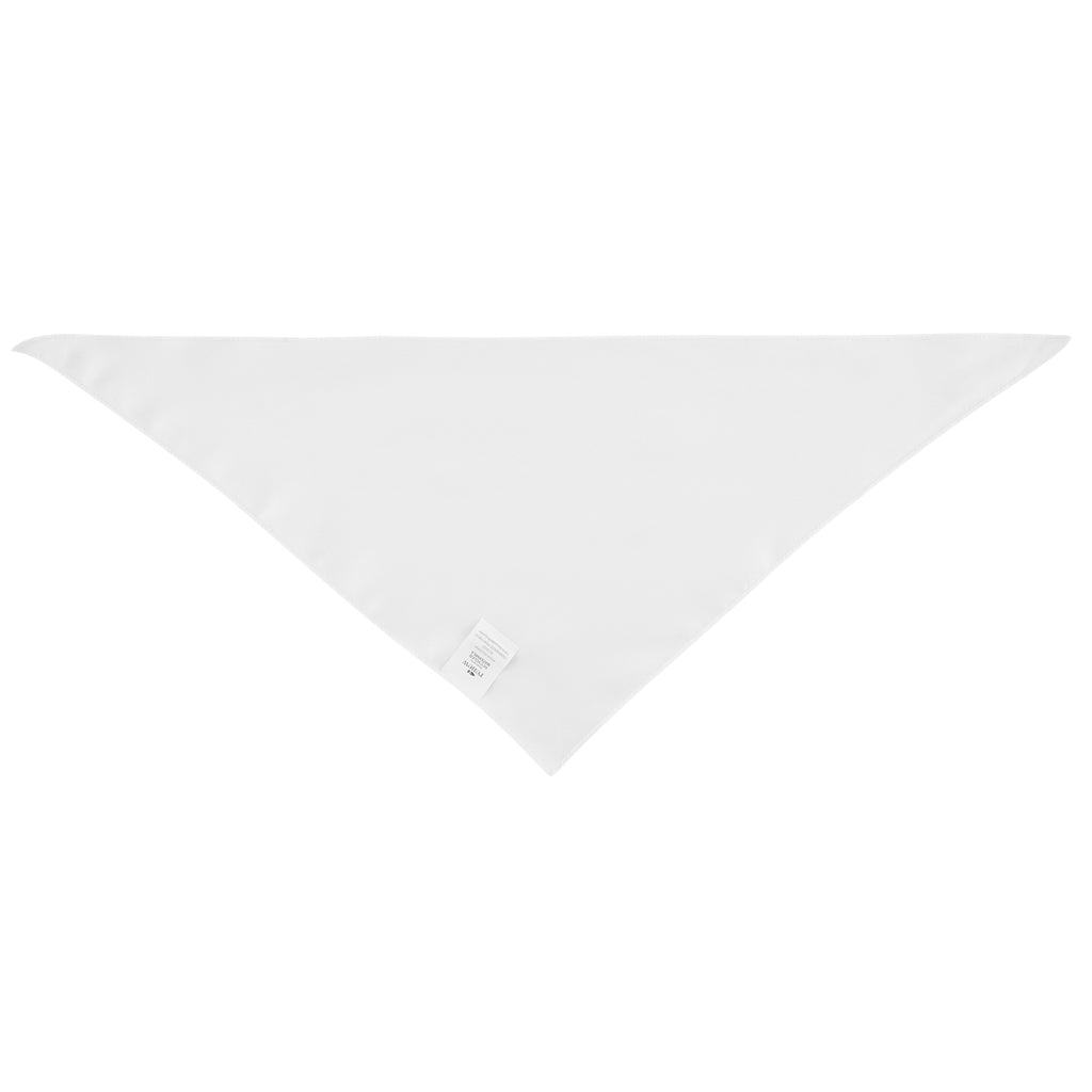 Triangle Pet Bandana in Full Color, Small - Back