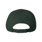 Valucap Econ Cap Embroidery - Forest - Back